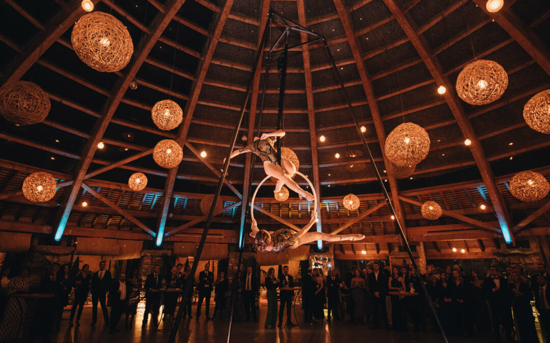 Gala Benéfica Nit Bufona